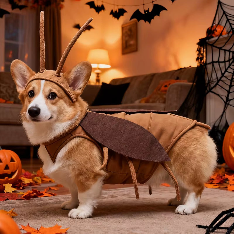 Funny Halloween Cockroach Costume Cute Pet Transformation Costume Dog Cat Dress up Clothing for Outdoor Party Cat Cosplay